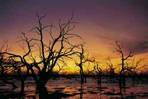 Menindee Lakes